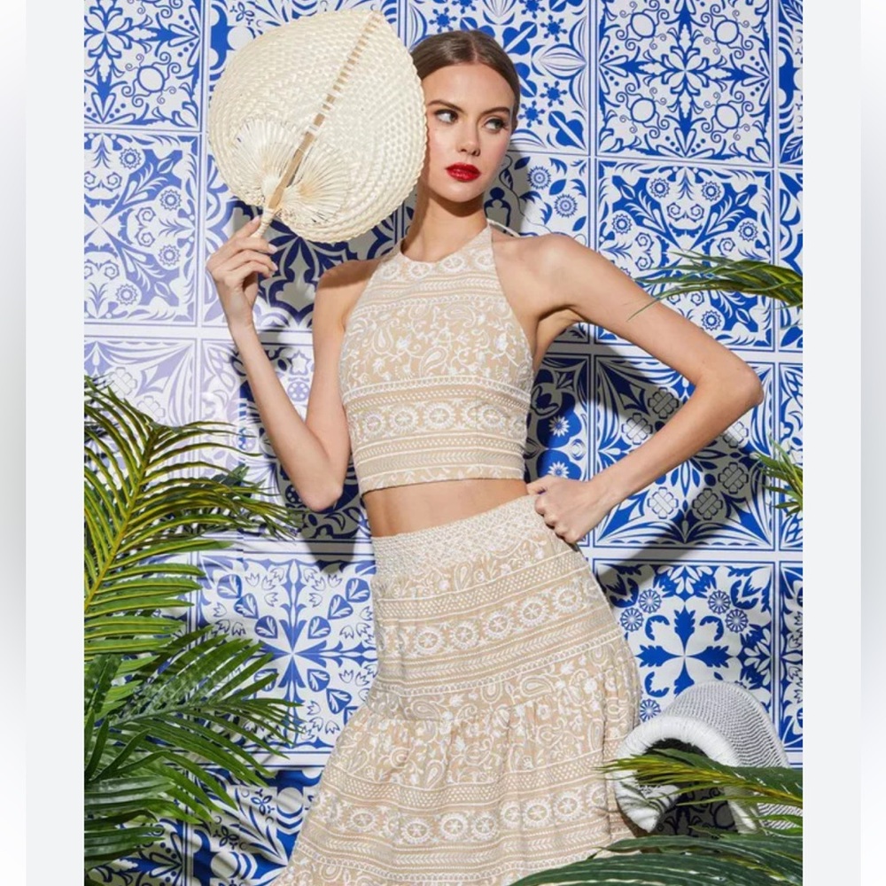 Jayme Tie-neck Halter Embroidered Crop Top, sz 8